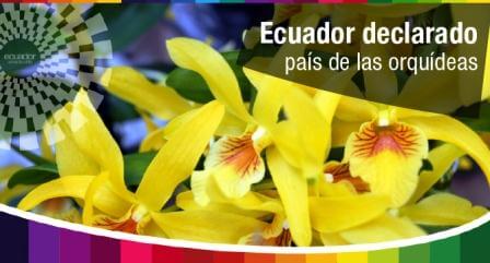 Ecuador - Pais de las Orquideas